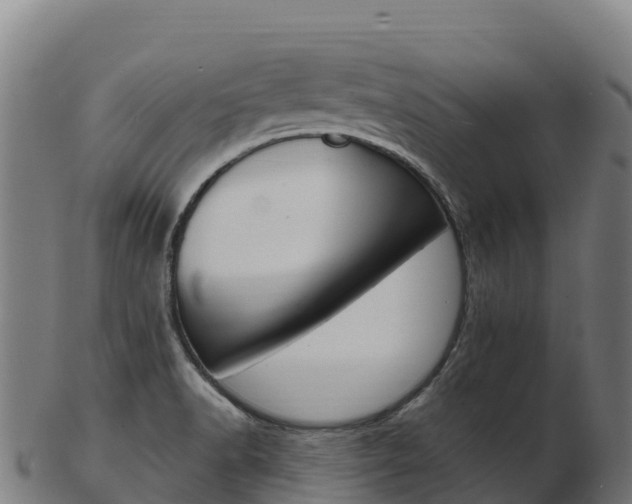 X0000103471518200809121108