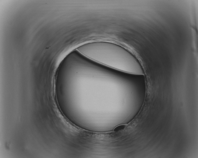 X0000103471520200809121108