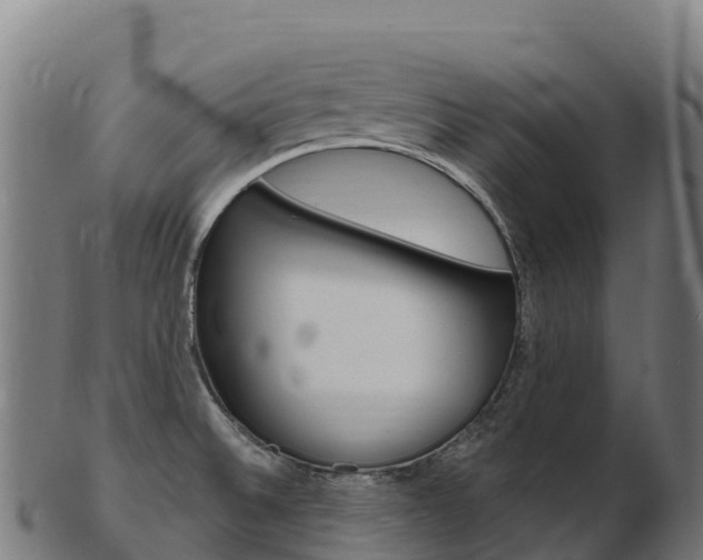 X0000103471524200809121108