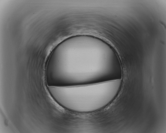 X0000103471525200809121108