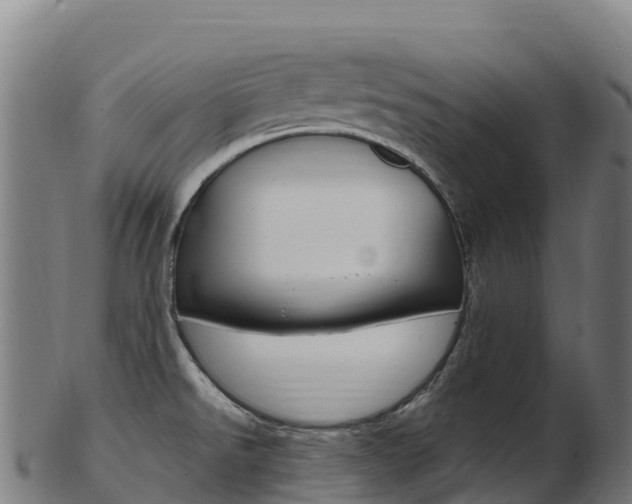 X0000103471526200809121108