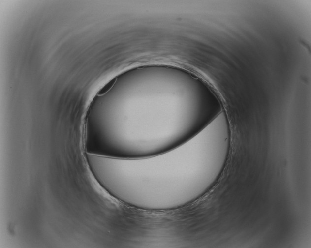 X0000103471528200809121108