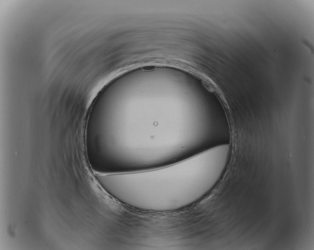 X0000103471530200809121108