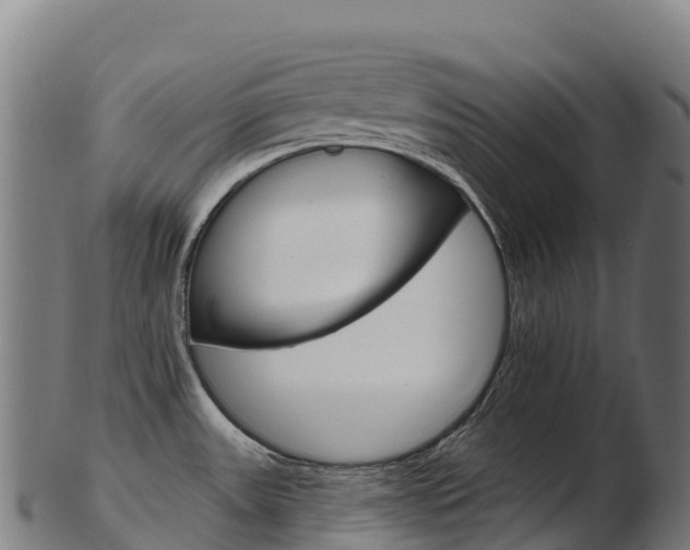 X0000103471531200809121108
