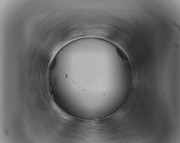 X0000103471532200809121108