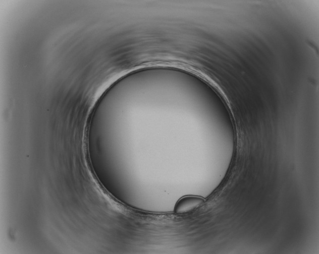 X0000103471533200809121108