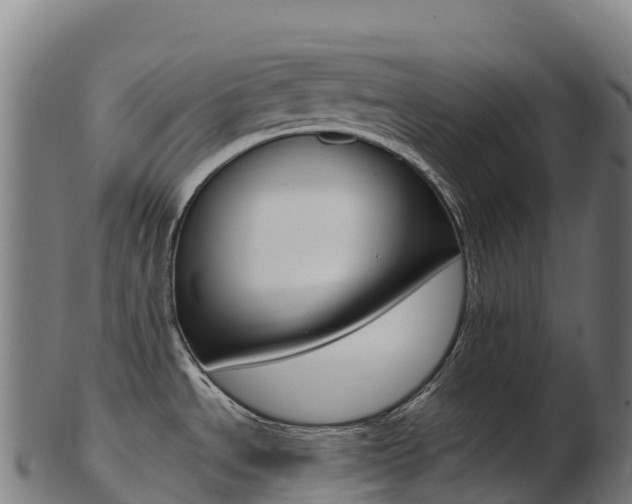 X0000103471534200809121108