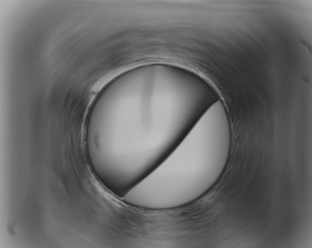 X0000103471535200809121108