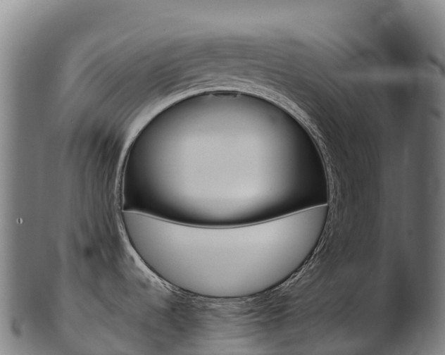 X0000103471536200809121108