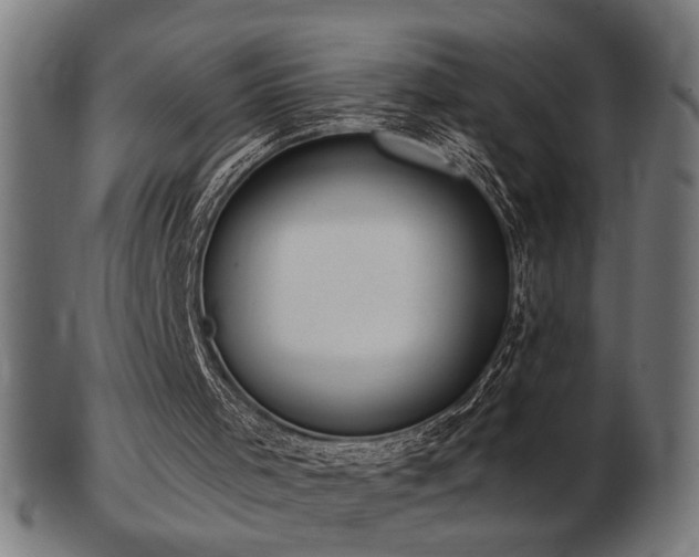 X0000103470001200809121638