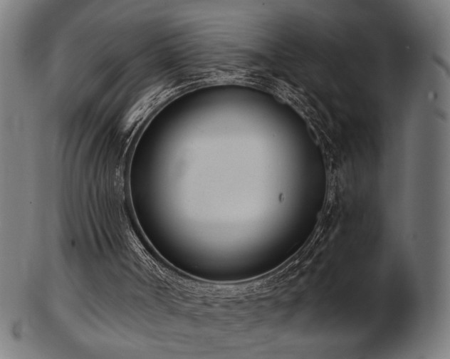 X0000103470002200809121638