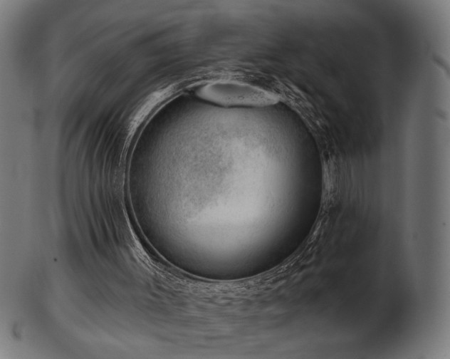 X0000103470003200809121638