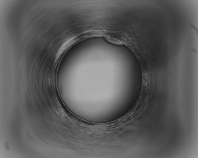 X0000103470004200809121638