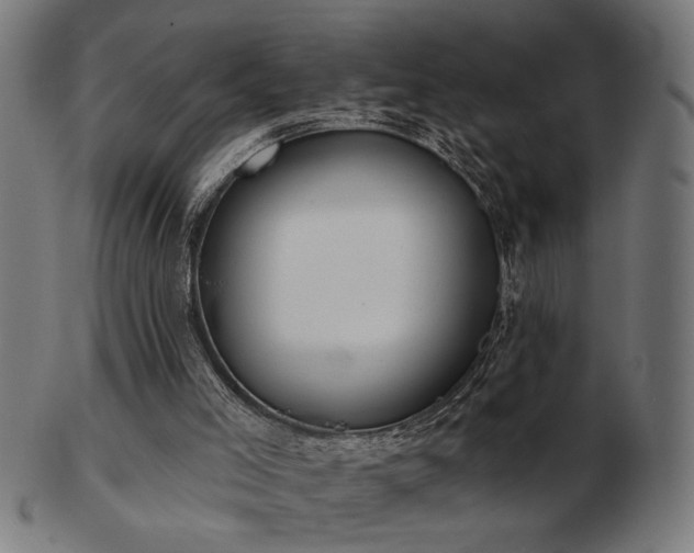 X0000103470005200809121638