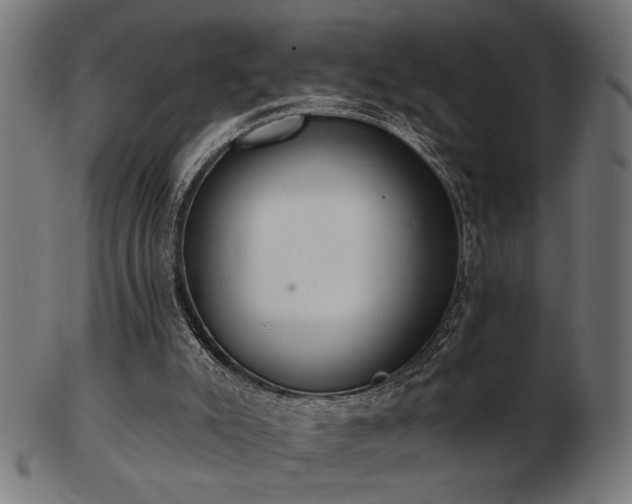 X0000103470007200809121638