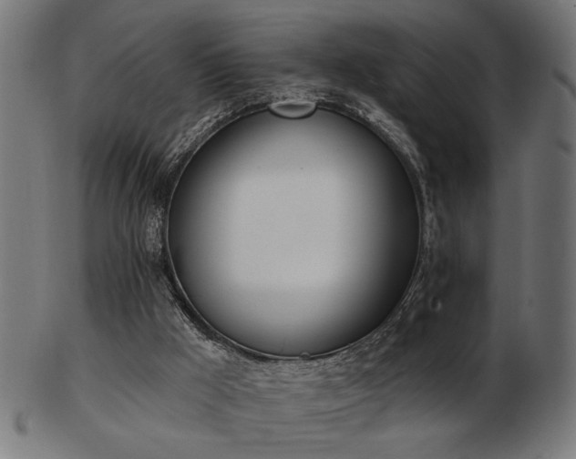 X0000103470009200809121638