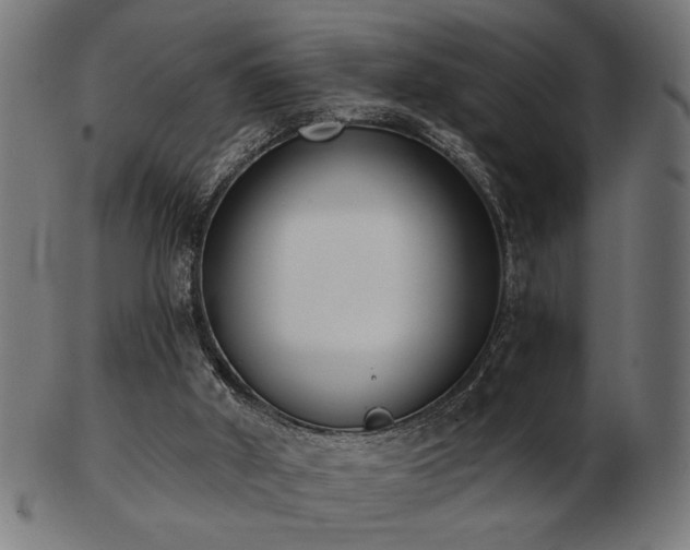 X0000103470010200809121638