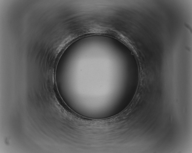 X0000103470011200809121638