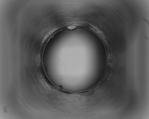 X0000103470012200809121638