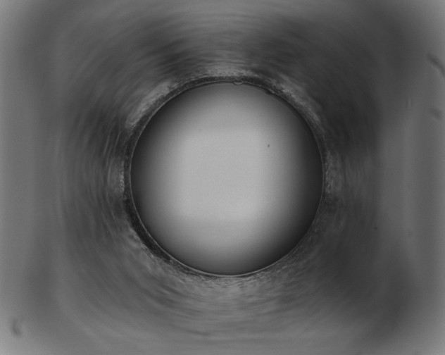 X0000103470015200809121638