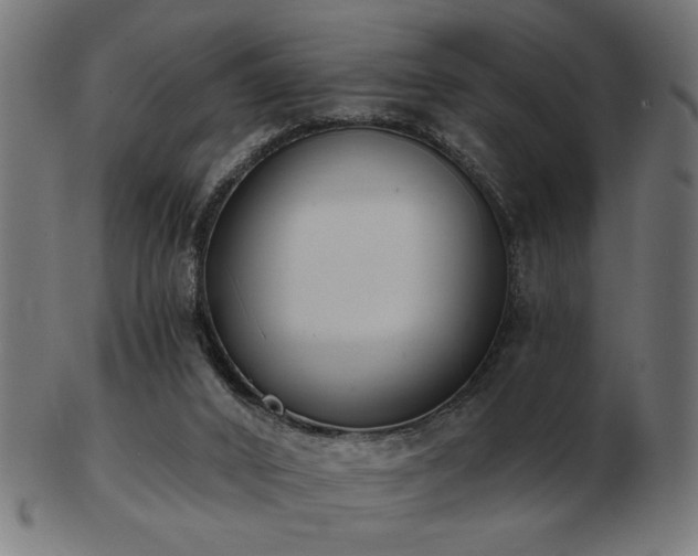 X0000103470016200809121638