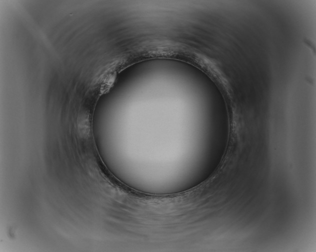 X0000103470017200809121638