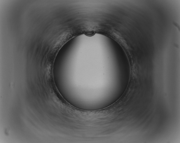 X0000103470018200809121638