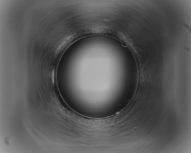 X0000103470019200809121638