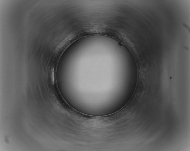 X0000103470020200809121638