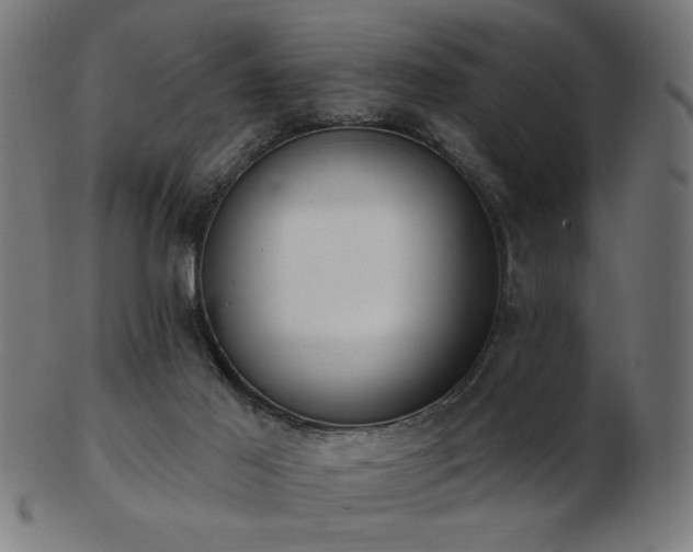 X0000103470021200809121638