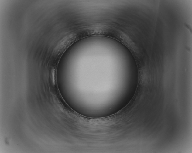 X0000103470022200809121638