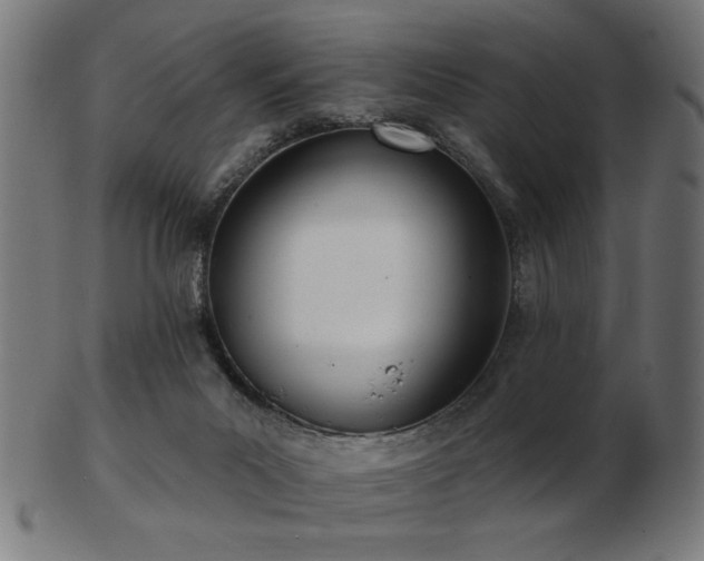 X0000103470023200809121638