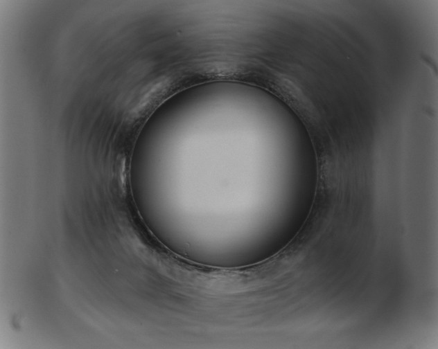 X0000103470024200809121638