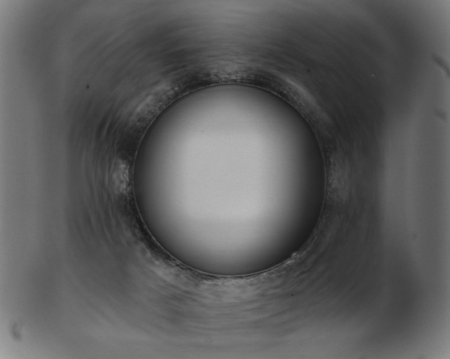 X0000103470025200809121638