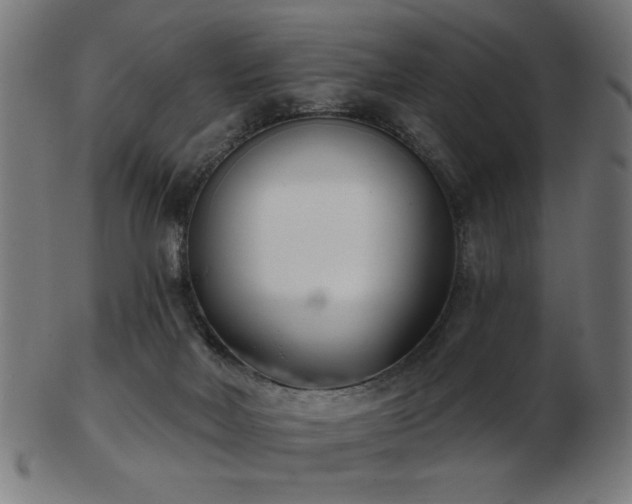 X0000103470026200809121638