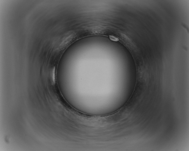 X0000103470028200809121638