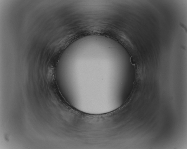 X0000103470029200809121638