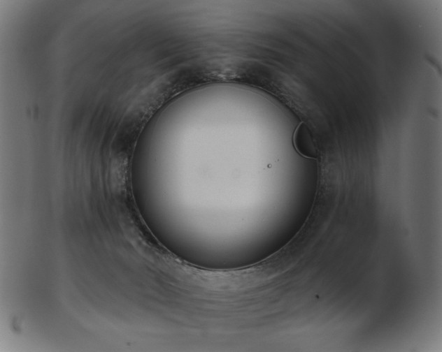 X0000103470030200809121638