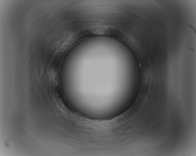 X0000103470031200809121638