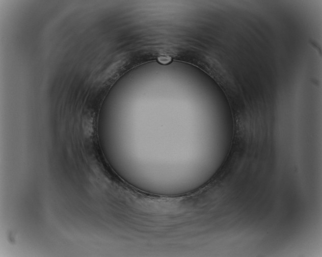 X0000103470032200809121638