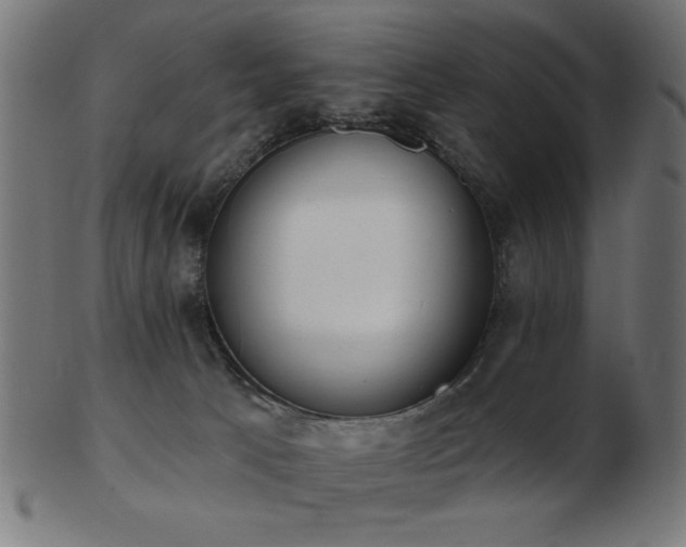 X0000103470033200809121638