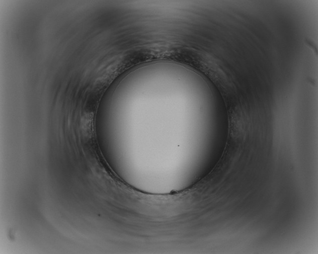 X0000103470034200809121638