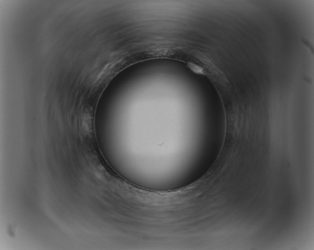 X0000103470035200809121638