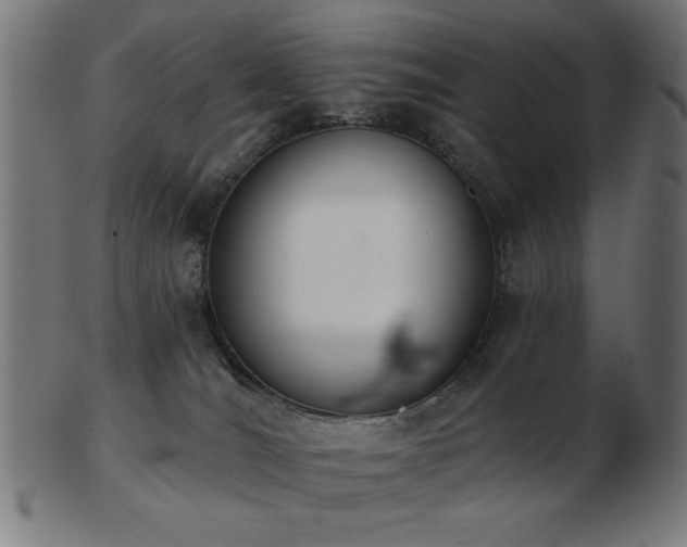 X0000103470036200809121638