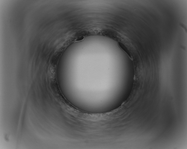 X0000103470037200809121637