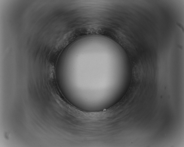 X0000103470038200809121637