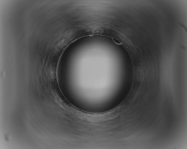 X0000103470039200809121637