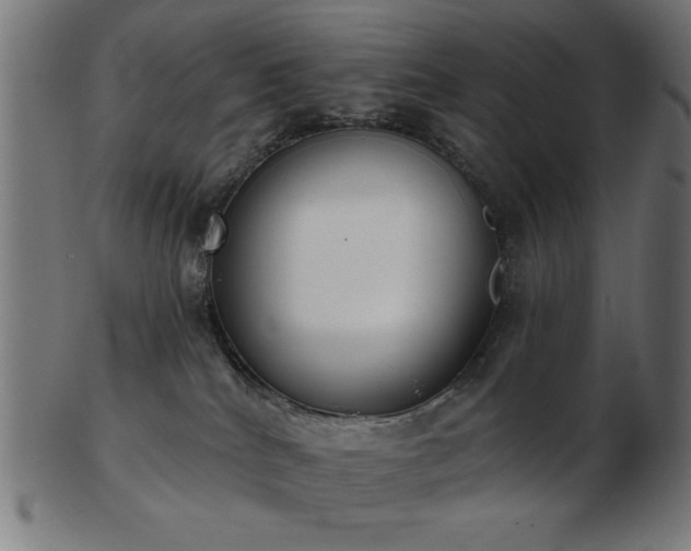 X0000103470040200809121637