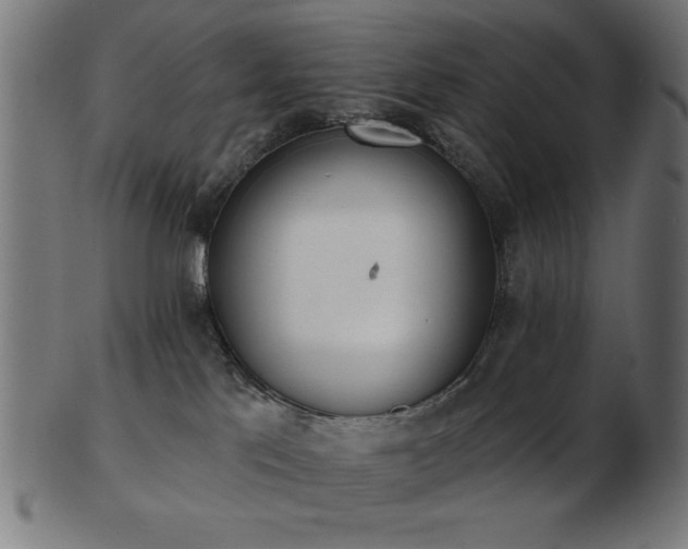 X0000103470041200809121637