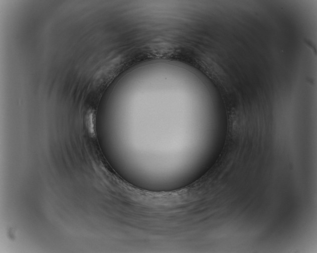 X0000103470042200809121637